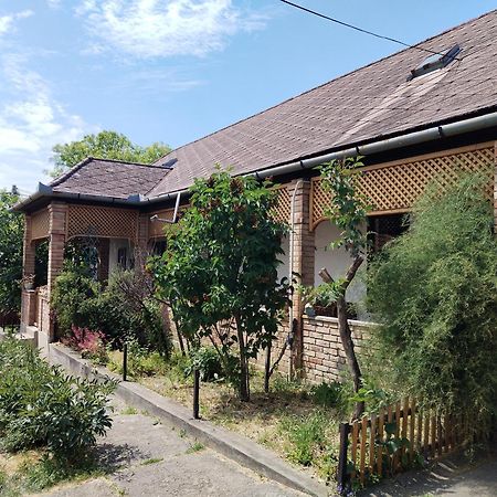 Henrietta Vendeghaz Apartment Domoszlo Exterior foto