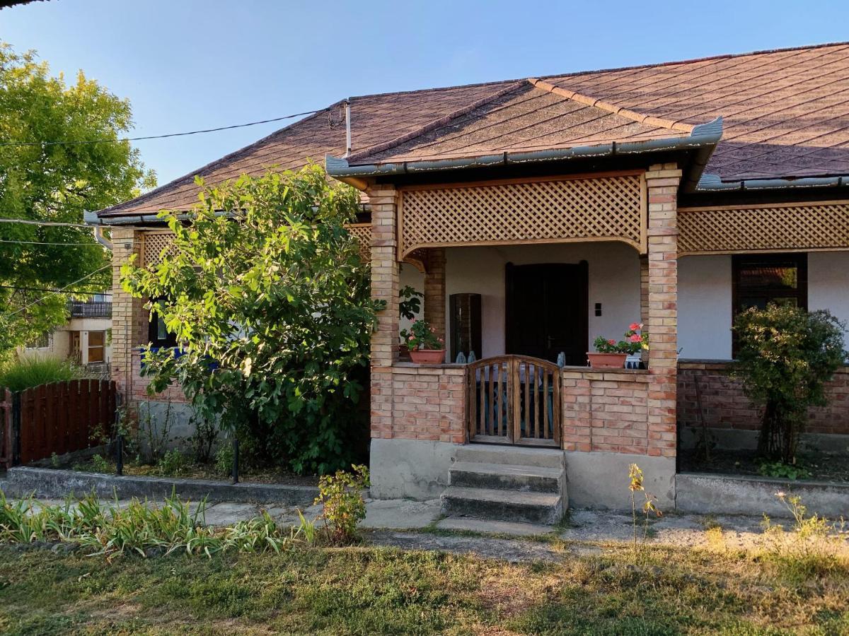 Henrietta Vendeghaz Apartment Domoszlo Exterior foto