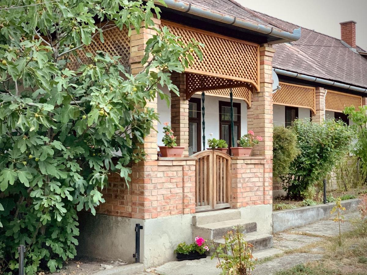 Henrietta Vendeghaz Apartment Domoszlo Exterior foto