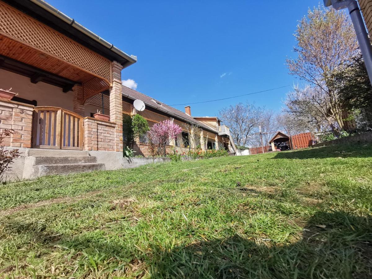 Henrietta Vendeghaz Apartment Domoszlo Exterior foto