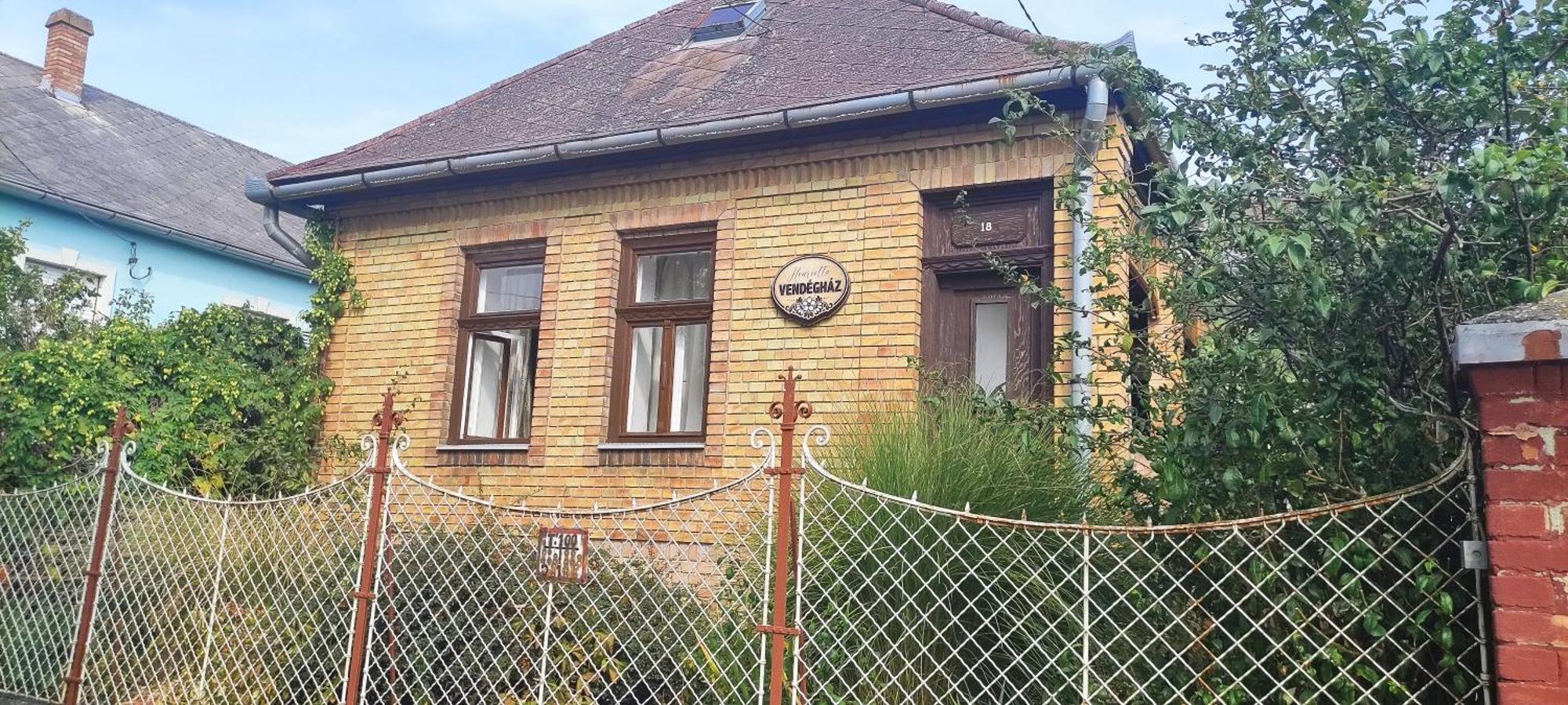 Henrietta Vendeghaz Apartment Domoszlo Exterior foto